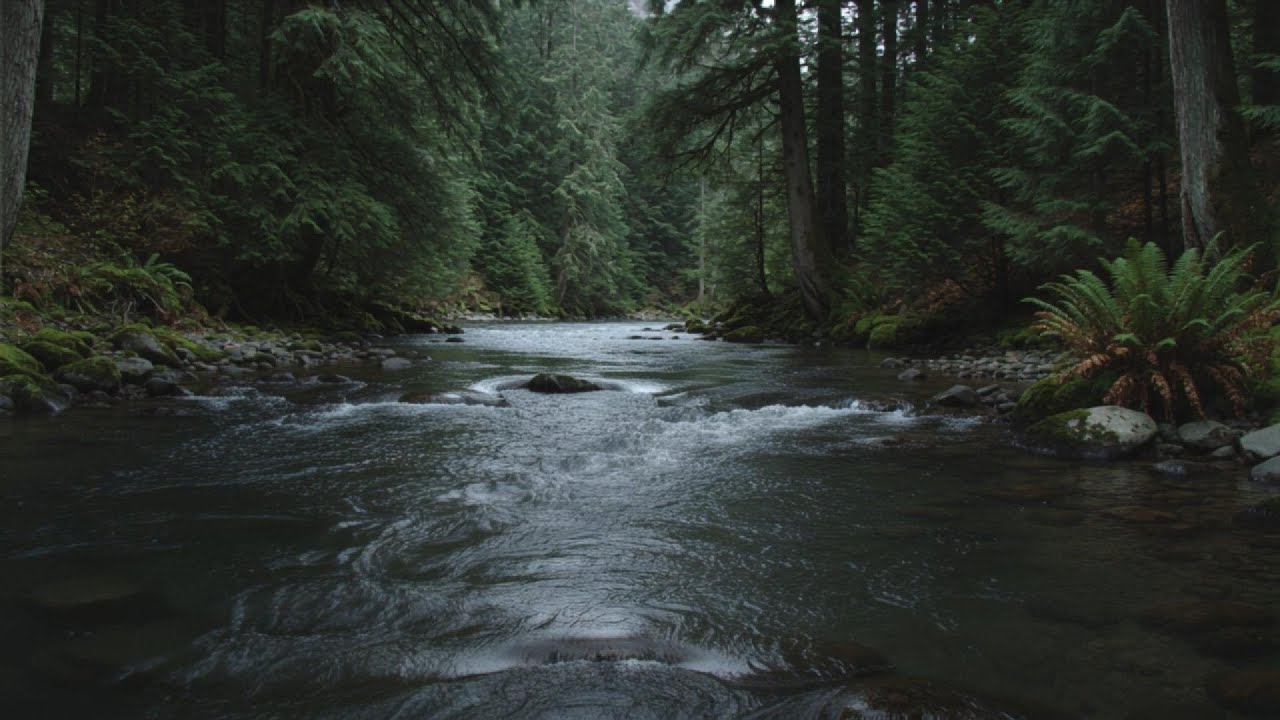River Tranquility 🌊 Calm Flowing Water for Deep Relaxation | 2 Hour