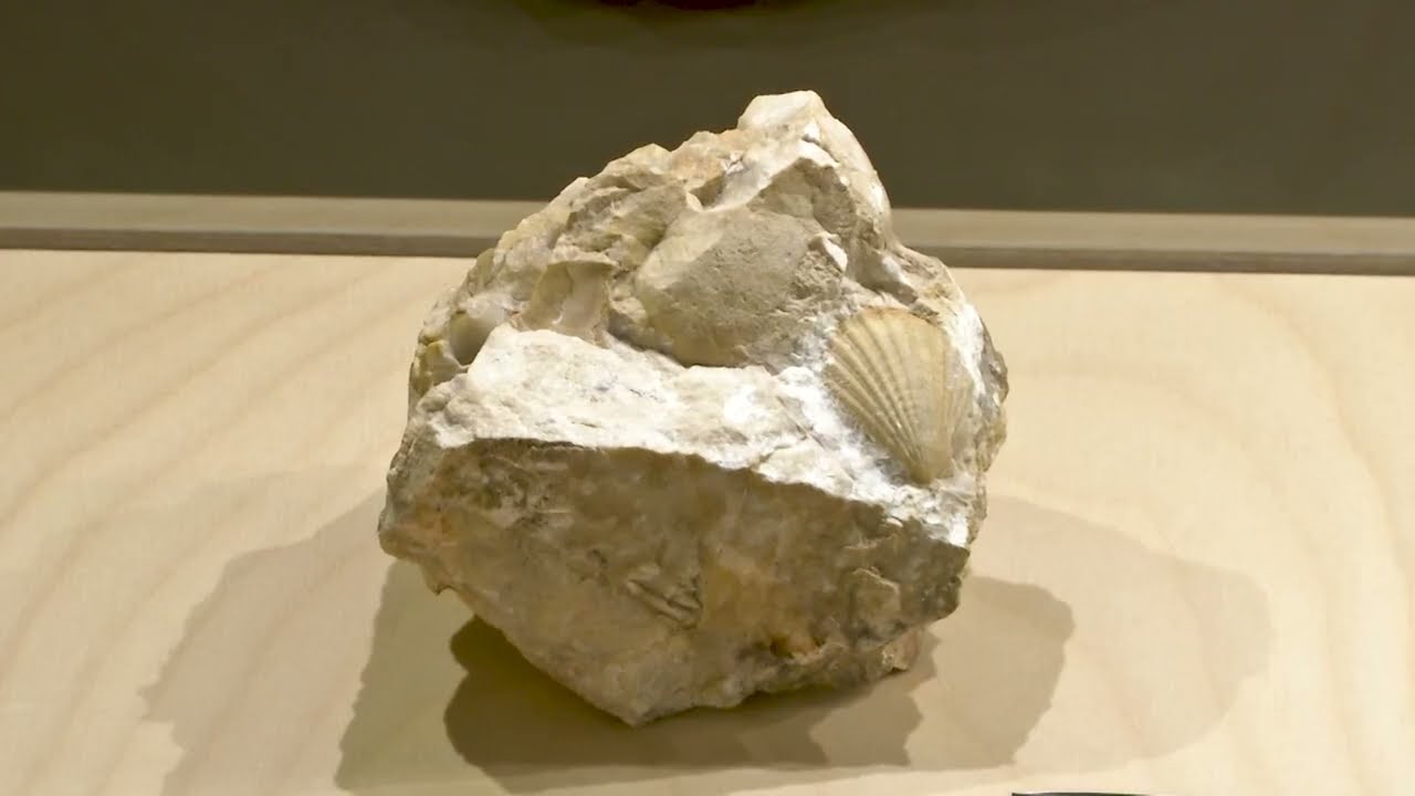 Museo Geologico delle dolomiti
