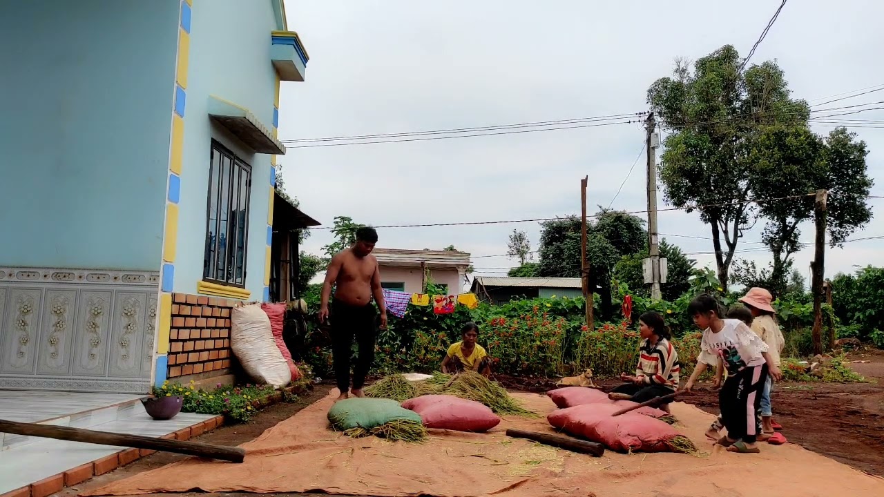 Công việc làm thoc 