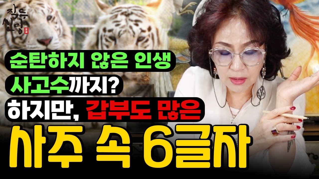 622화_신점으로 보는 [백호살] 🔥쉽지않은 인생살이에 사고수까지..😢하지만, 순식간에 갑부가 되는데! 백호살 보다는 이것을 먼저 풀어야해요