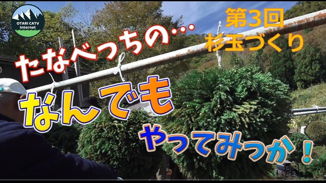 小谷杜氏（おたりとうじ）に学ぶ！杉玉づくり｜〇〇のなんでもやってみっか！第3回
