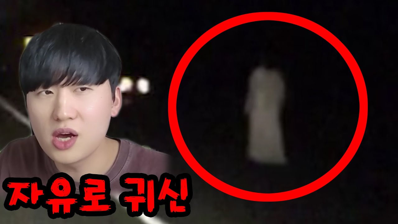실제 연예인들이 목격한 자유로귀신 알아보기ㄷㄷ