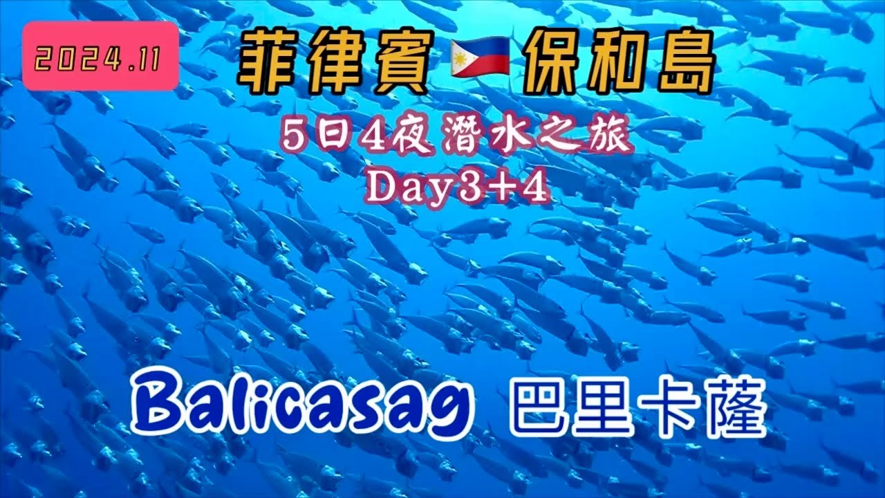 [2024保和島潛水之旅] EP.3 菲律賓保和島  | Balicasag Island 巴里卡蕯 | Bohol Island | 薄荷島 | ​⁠