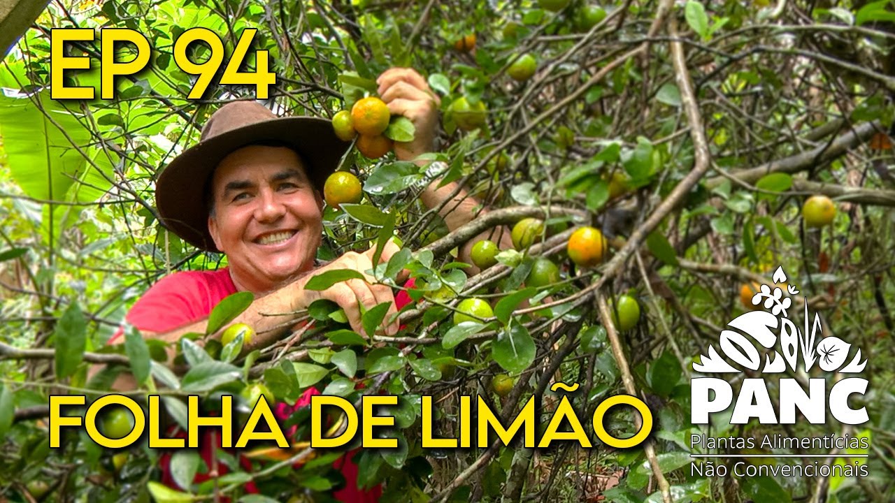 EPISÓDIO 94 - FOLHA DE LIMÃO | #pancnaveia #valdelykinupp