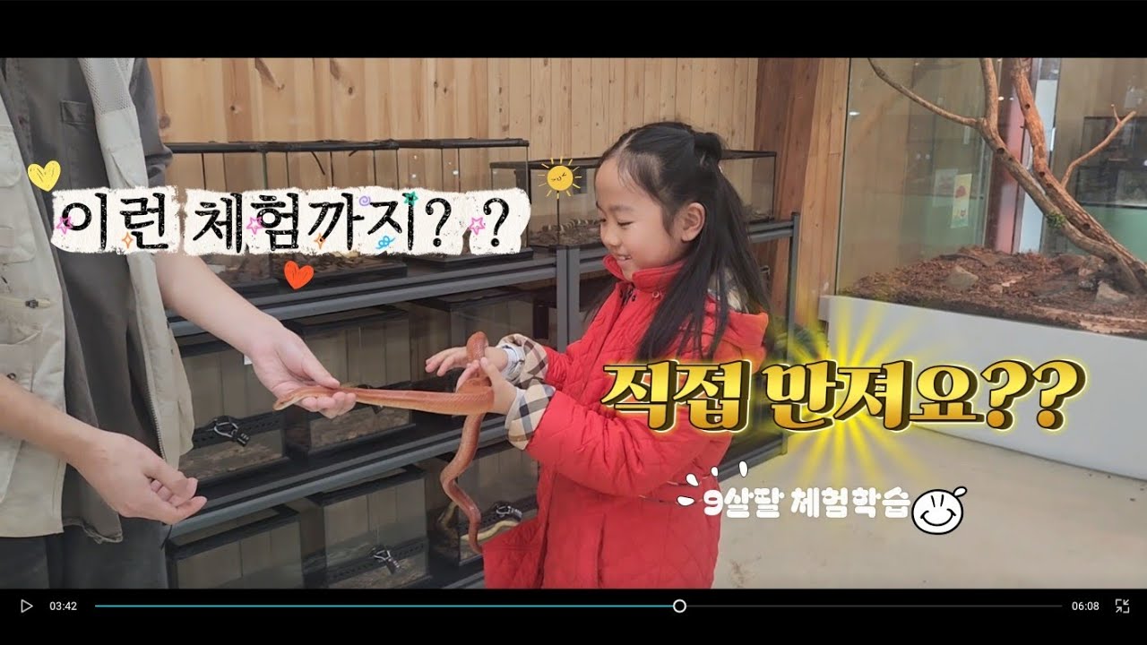 평일에 전세 낸 담양곤충박물관 | 딸과 잊지 못할 하루