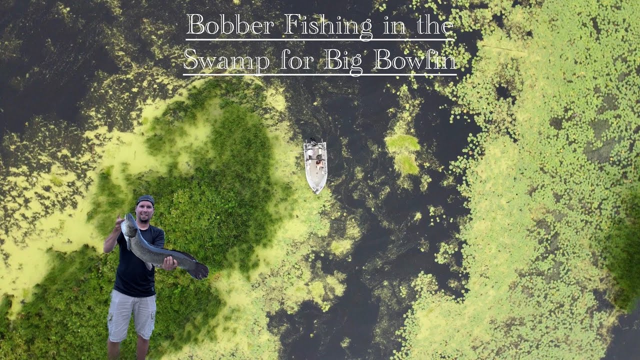 Going After Big Bowfin in the Swamps of Lake Champlain!