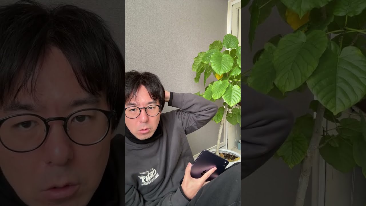 こんにちは。7時に起きたよ
