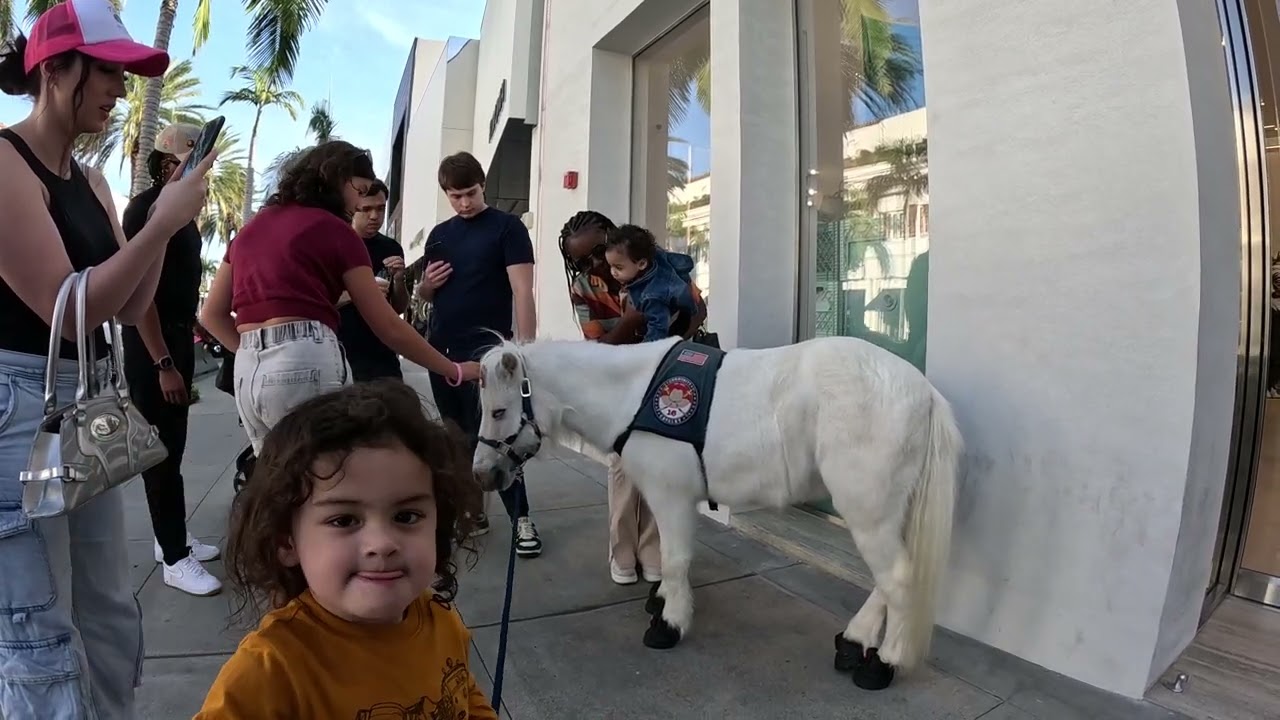 Lt. Rowdy takes a walk around Rodeo Drive 10 - 10 100423.