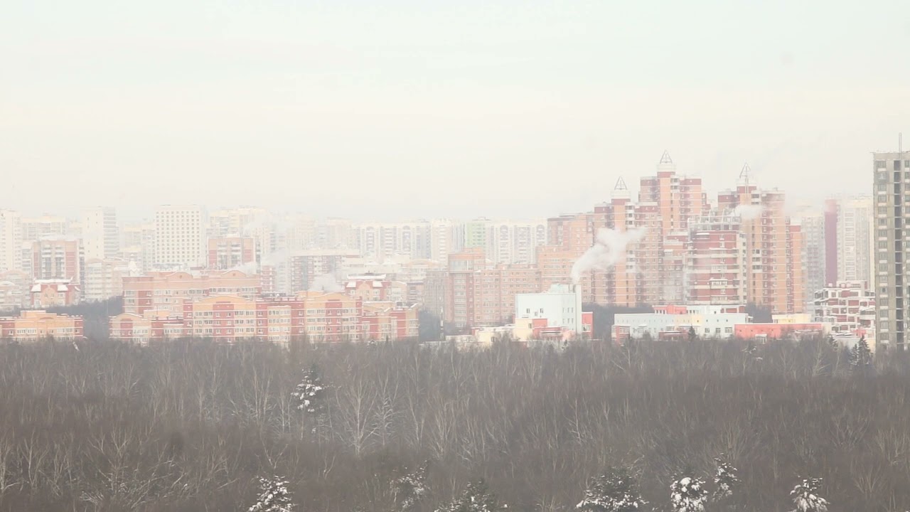 Соседний район на горизонте за лесом. Зима пар котельных. Фоновое видео