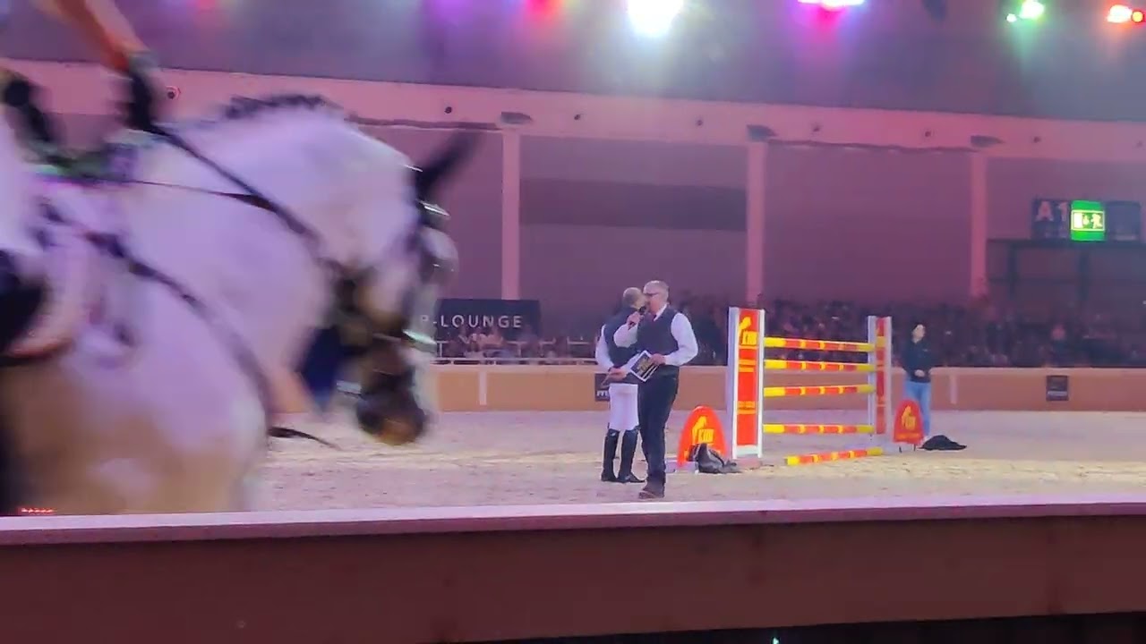 Pferd Bodensee Gala