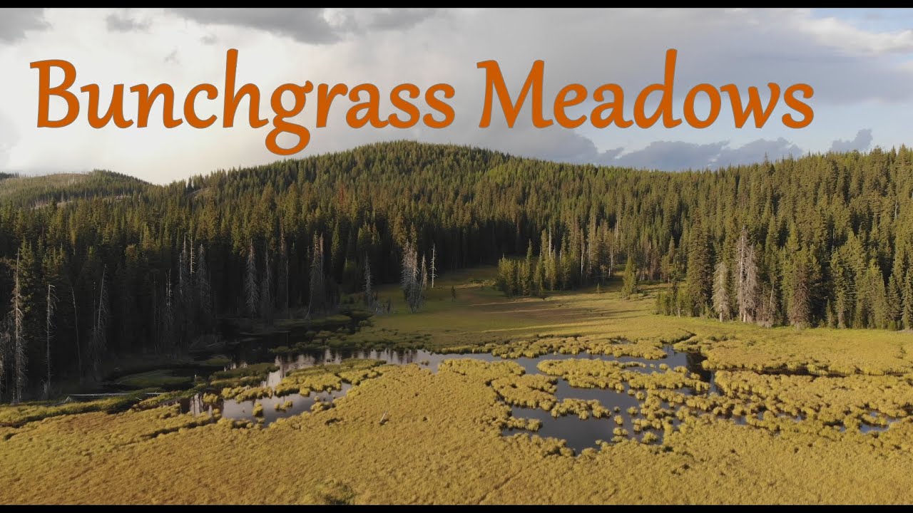 Bunchgrass Meadows Sunset