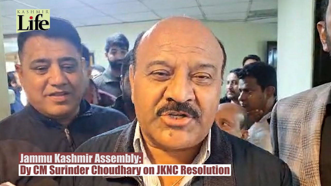 Jammu Kashmir Assembly: Dy CM Surinder Choudhary on JKNC Resolution