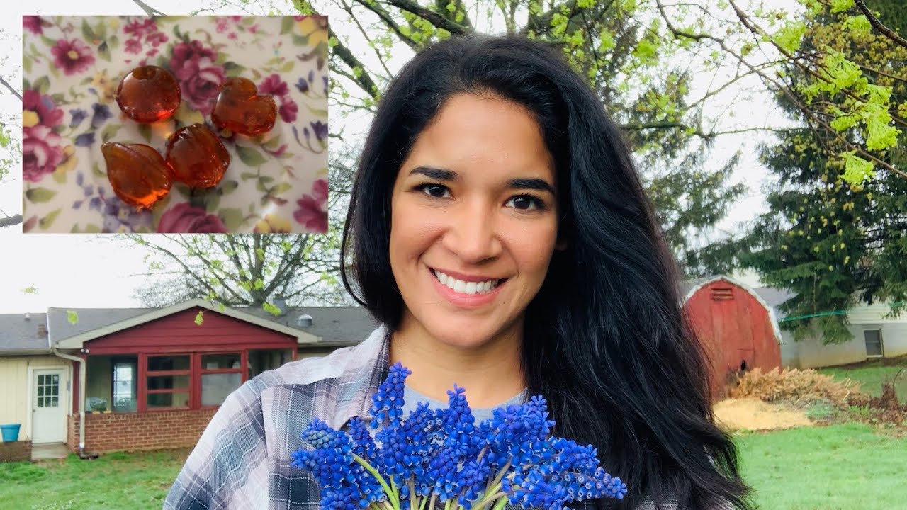 Grape Hyacinth- Grape Hyacinth cough drops- Wild edibles