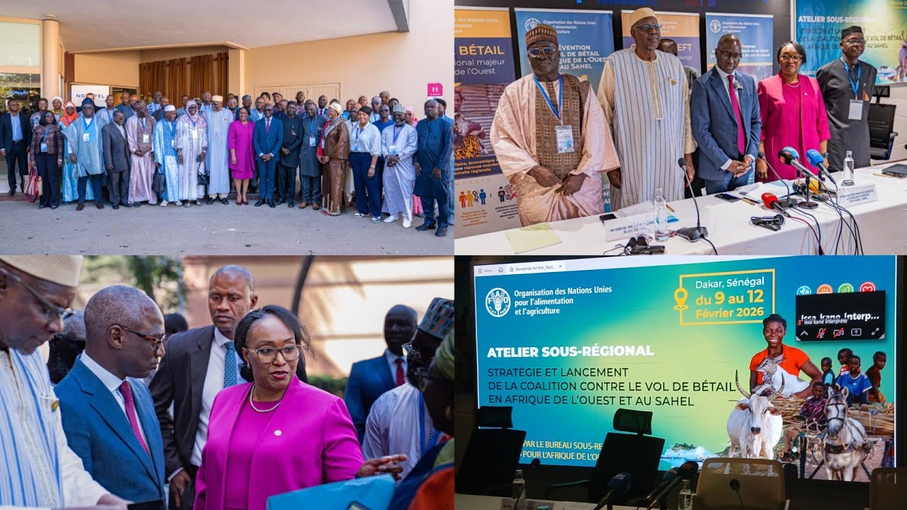 Sénégal : Lancement de la Coalition contre le vol de bétail en Afrique de l’Ouest et au Sahel