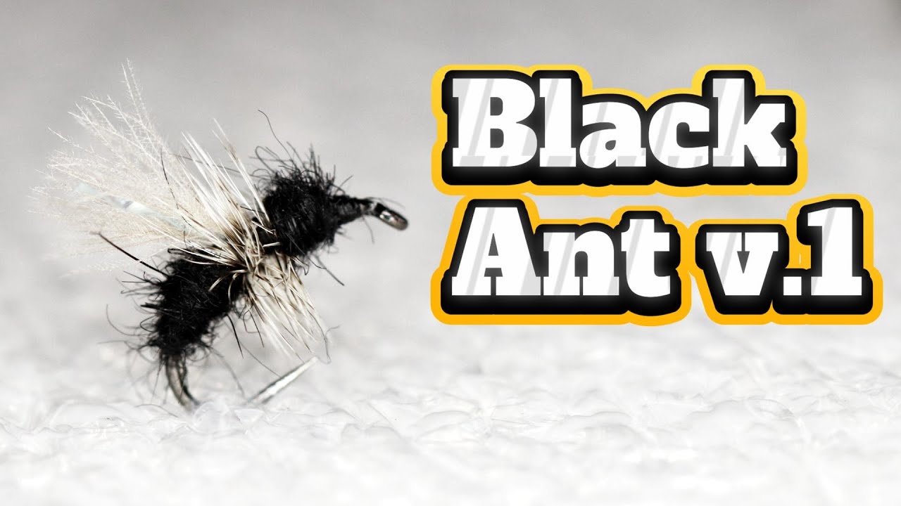 Black Ant v.1 || mrówka || dry fly || fly fishing || prosta mucha