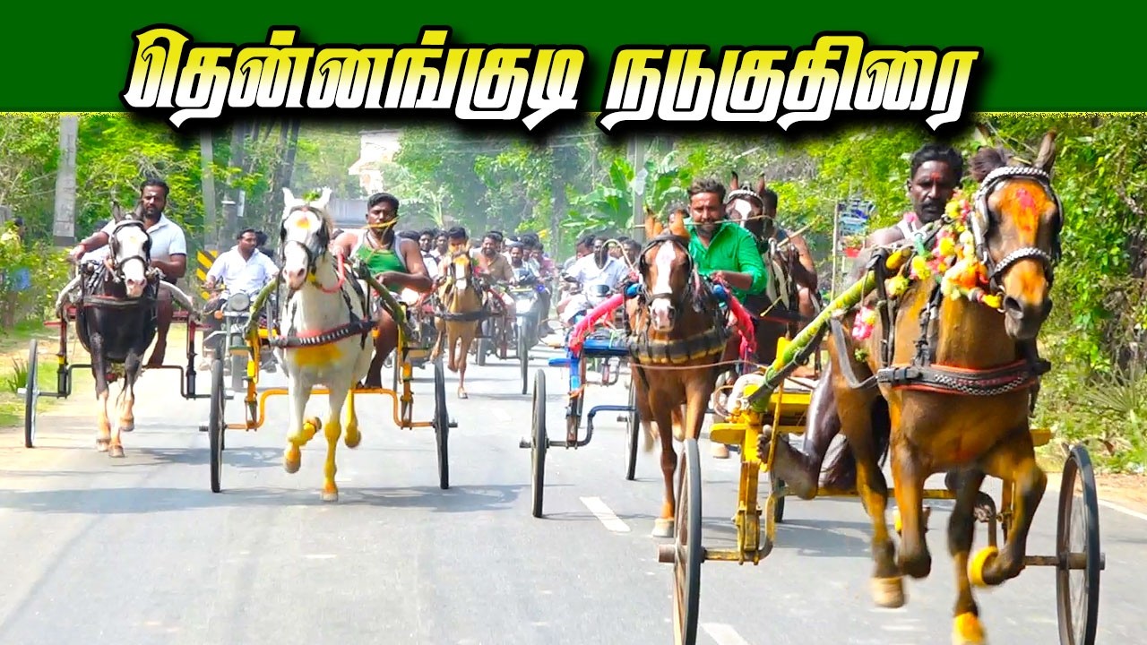 தென்னங்குடி நடுகுதிரை  01/03/2026