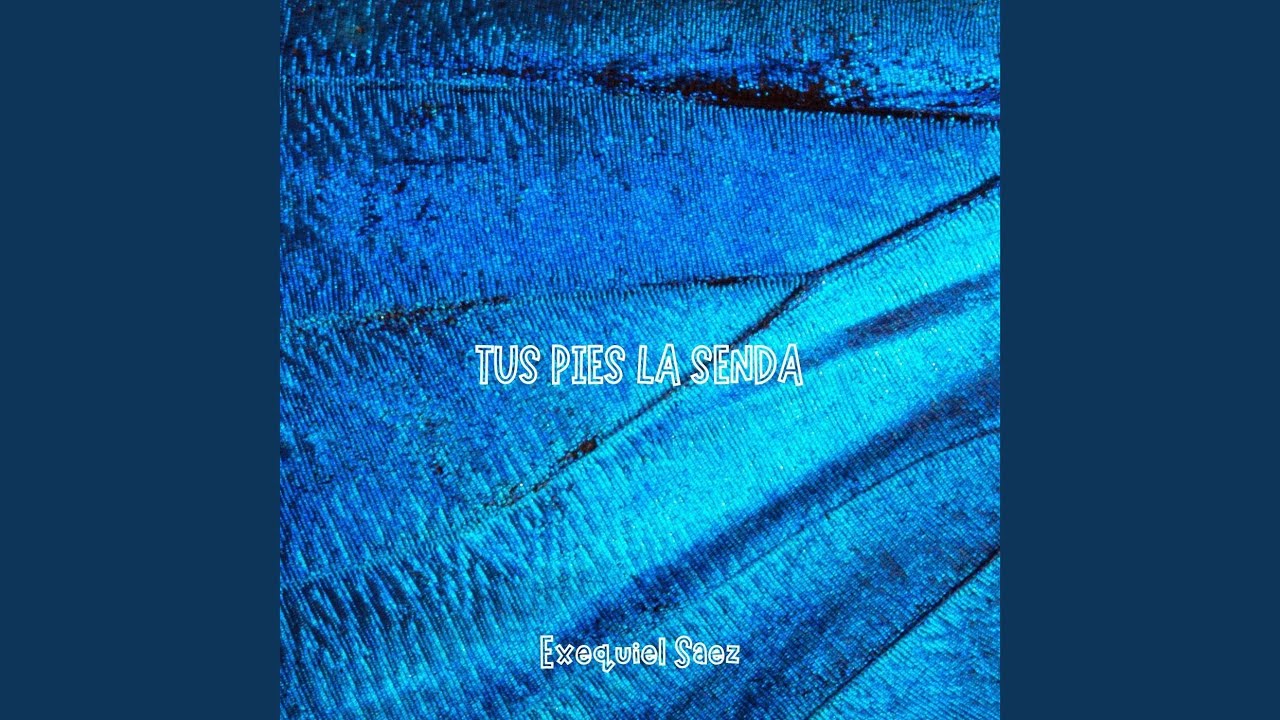 TUS PIES LA SENDA