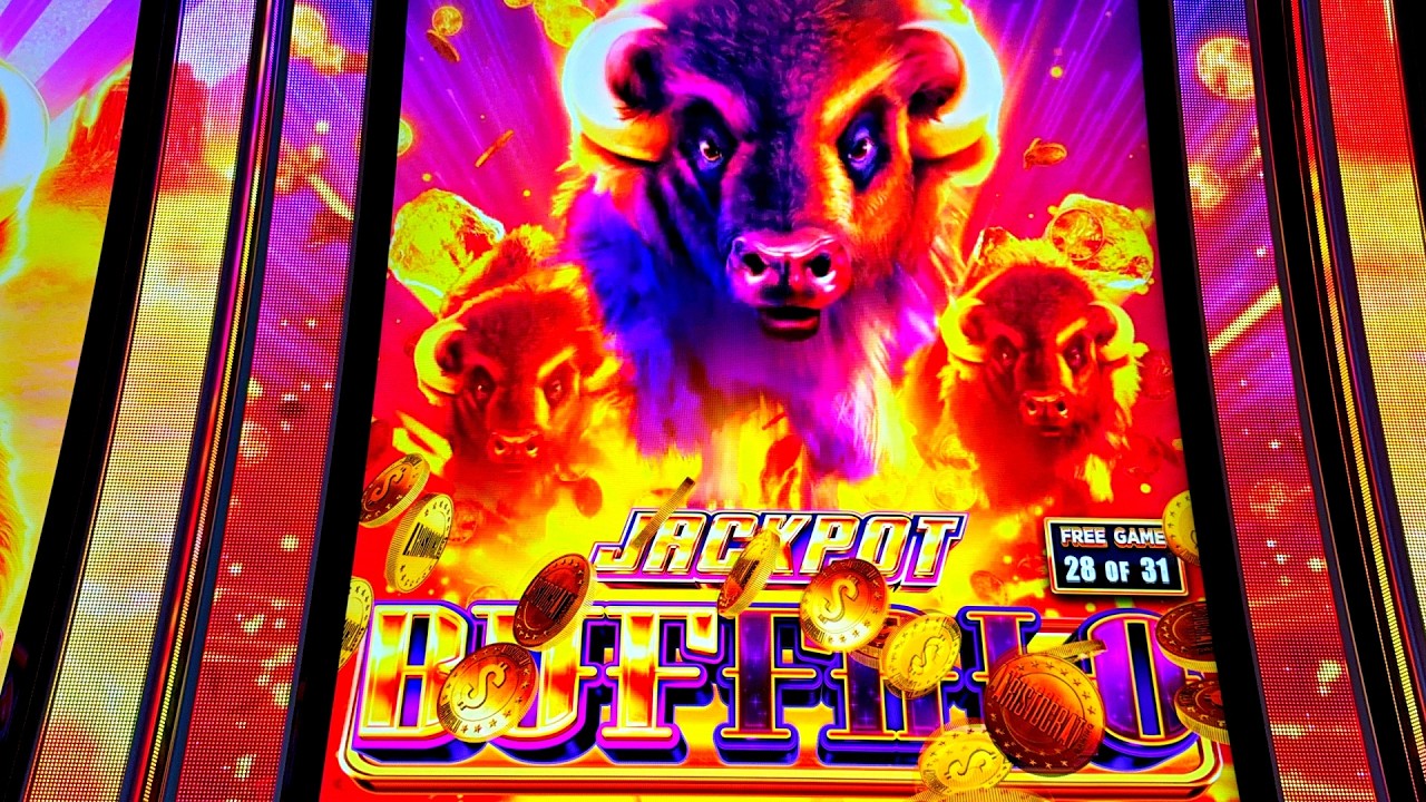 JACKPOT BUFFALO JACKPOT!!!!!!!!!!!!!