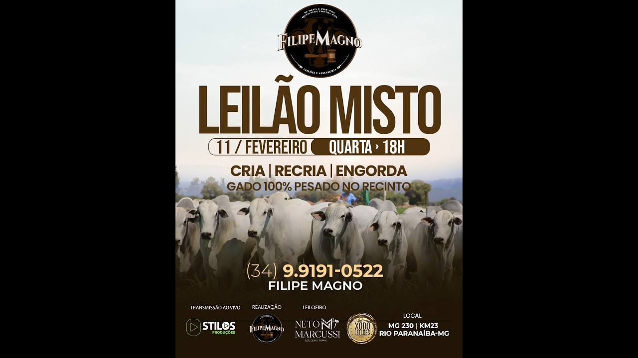 LEILÃO MISTO 11/02/2026 - FILIPE MAGNO LEILÕES - RIO PARANAÍBA-MG