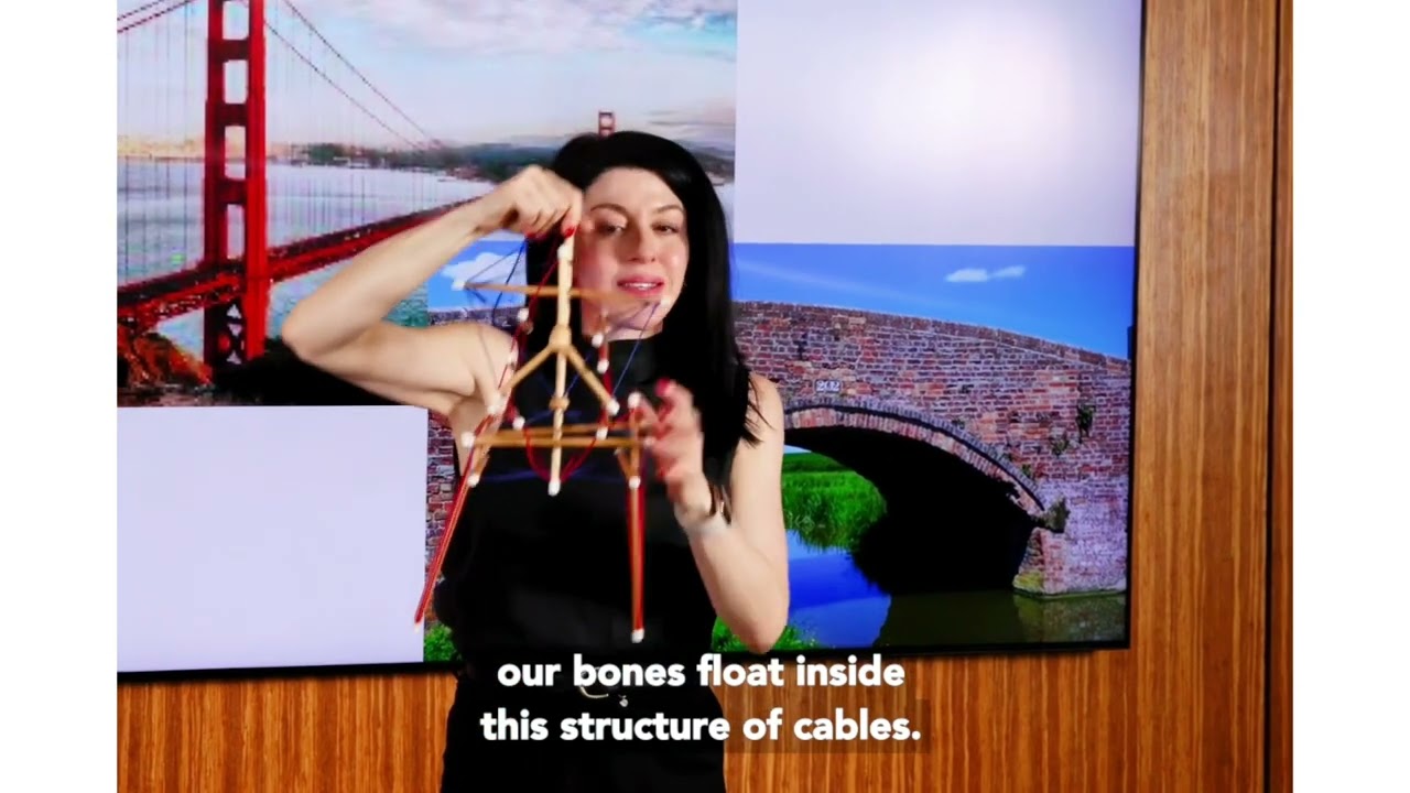 Tensegrity, Fascia  & human architecture. A deeper understanding of human anatomy.