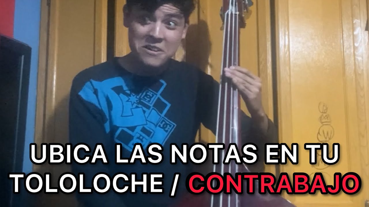 Cómo ubicar las notas en el TOLOLOCHE / CONTRABAJO - DannyBass555