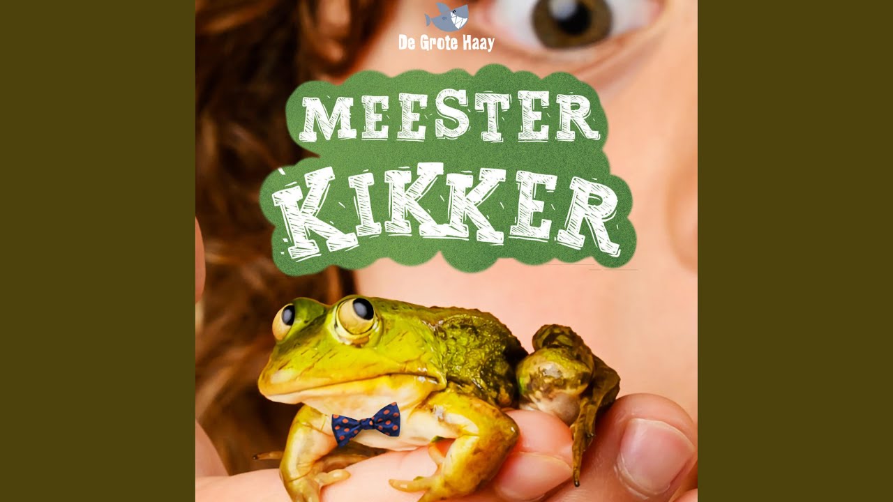 We hebben een plan (feat. Hilke Bierman, Sanne Franssen & Dennis de Groot)