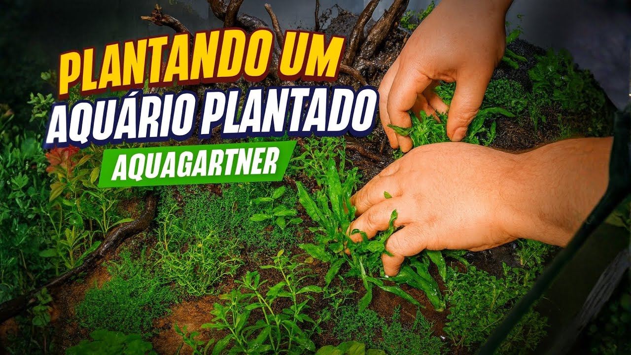 SEGREDO DA TÉCNICA PROFISSIONAL REVELADA, PLANTANDO AQUÁRIO PLANTADO!!!