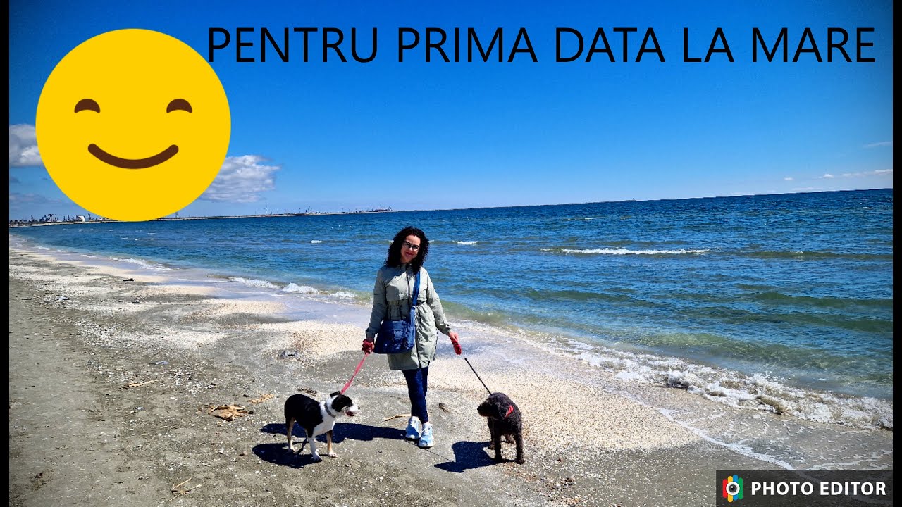 Năvodari. Cățeii noștri, pentru prima dată la mare. #mareaneagra  #navodari