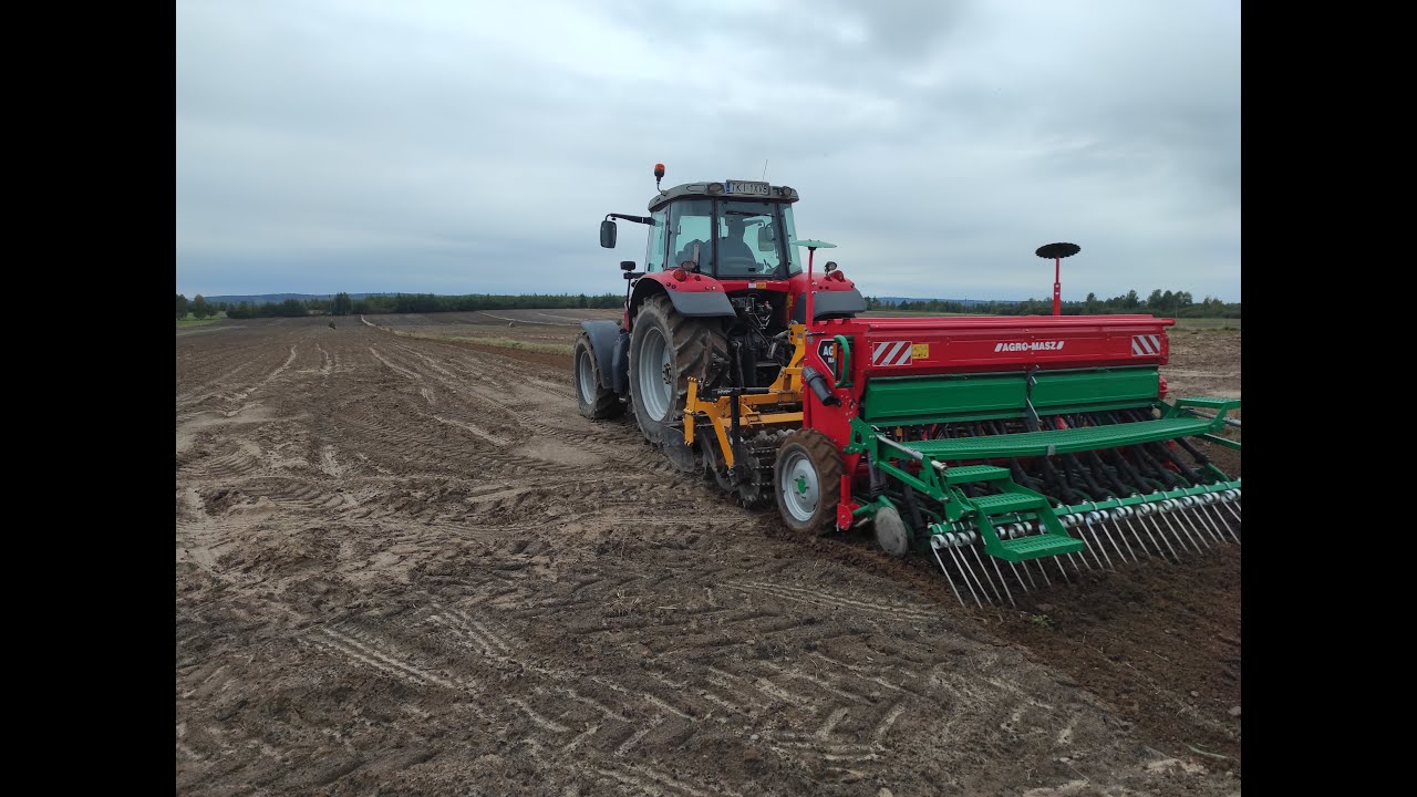 🔥Siew Pszenżyta 2k22🔥Massey Ferguson 6465 & Zestaw Uprawowo-Siewny🔥