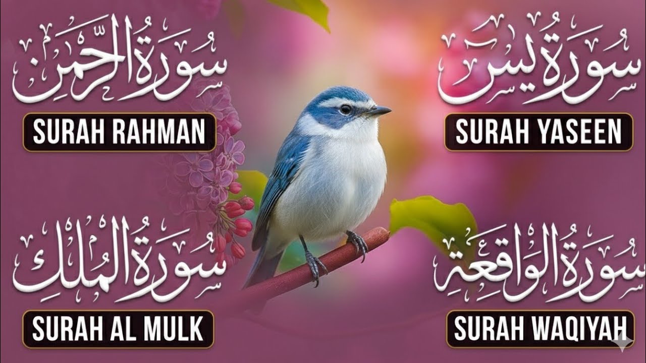 Soothing & Deeply Calming Quran Recitation | Surah Yaseen • Surah Rahman • Surah Waqiah • Surah Mulk