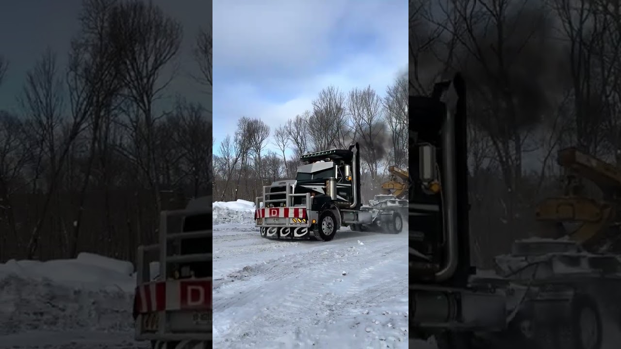 brutal power an sound of the caterpillar 🦋 #lifeisbutadream