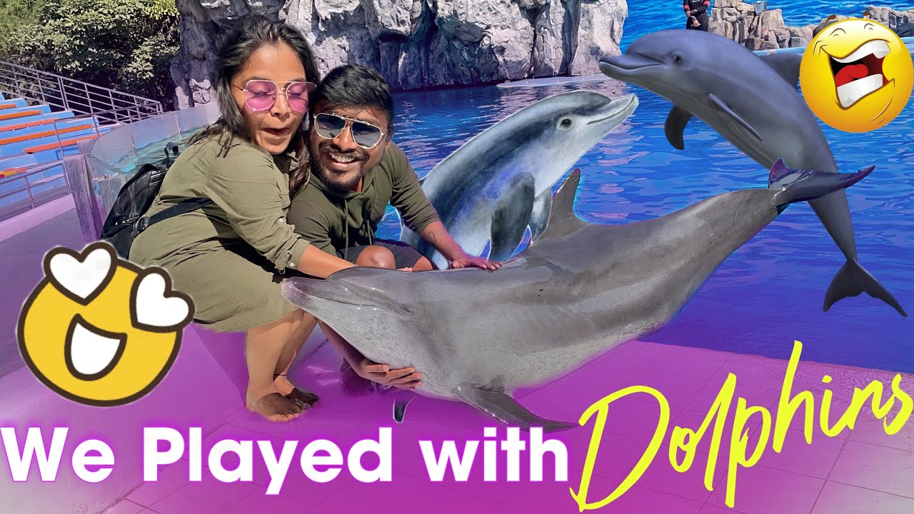 Dolphin Encounter in Bangkok 😩 A Must-Visit Attraction 🔥 Safari World Adventure 🔥