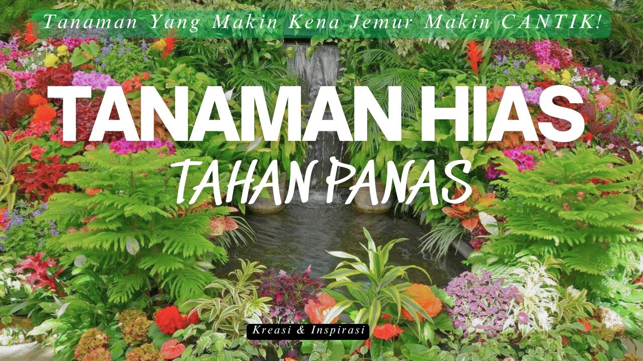 MANTUL! Inspirasi 10 Jenis Tanaman Hias Tahan PANAS Makin Kena Jemur Makin CANTIK! (Gak Perlu Ribet)