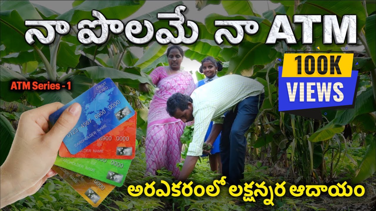 ATM Series1| పొలం నుండి ప్రతినిత్యం ఆదాయం | Sustainable Agriculture | SASYASYAMALAM | #sasyasyamalam