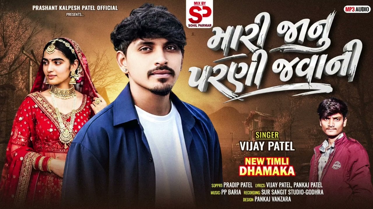 Vijay Patel New Timli માંરી જાનુ પરણી જવાની 2026new timli remix DJ 2026