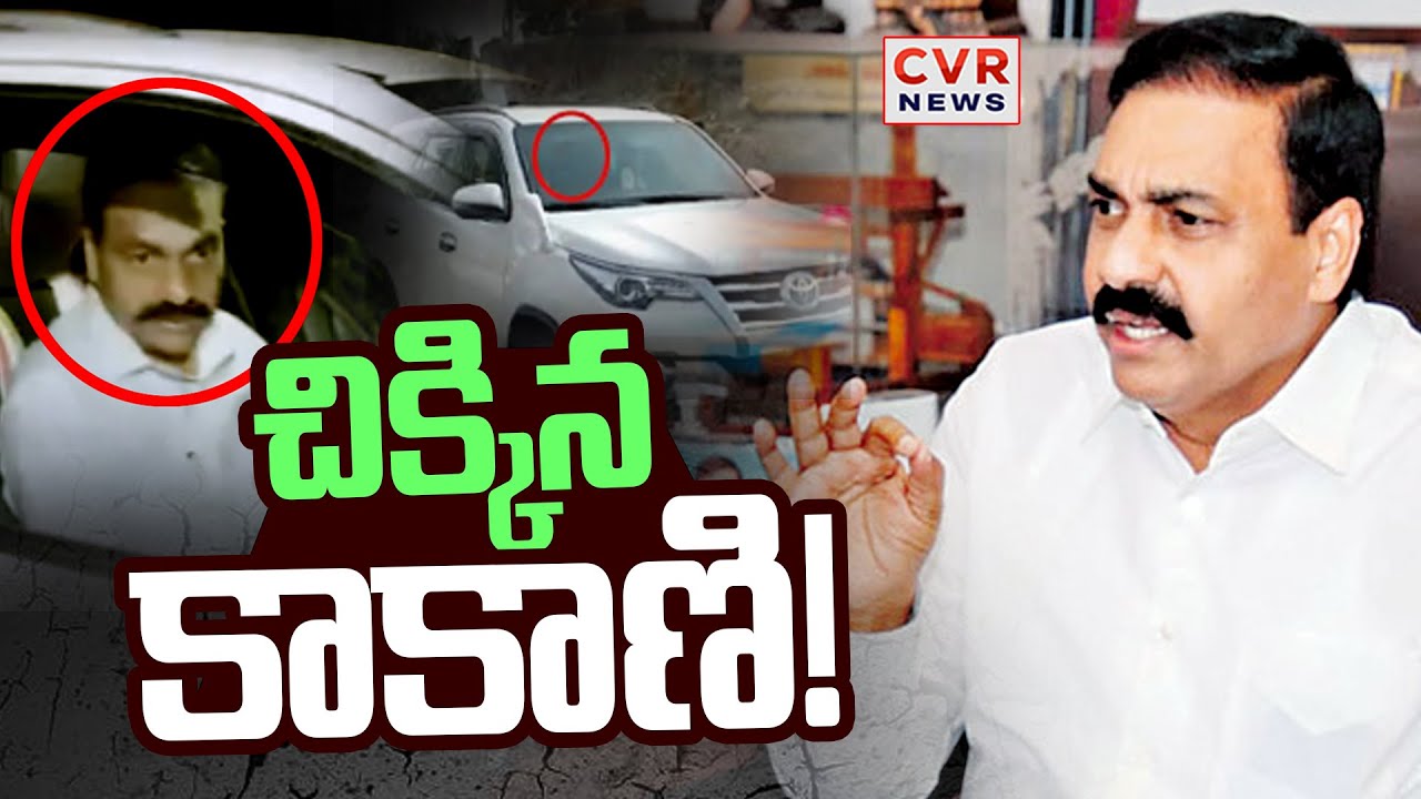 కాకాణి కోసం పోలీసుల గాలింపు | Police Search For Kakani | CVR News