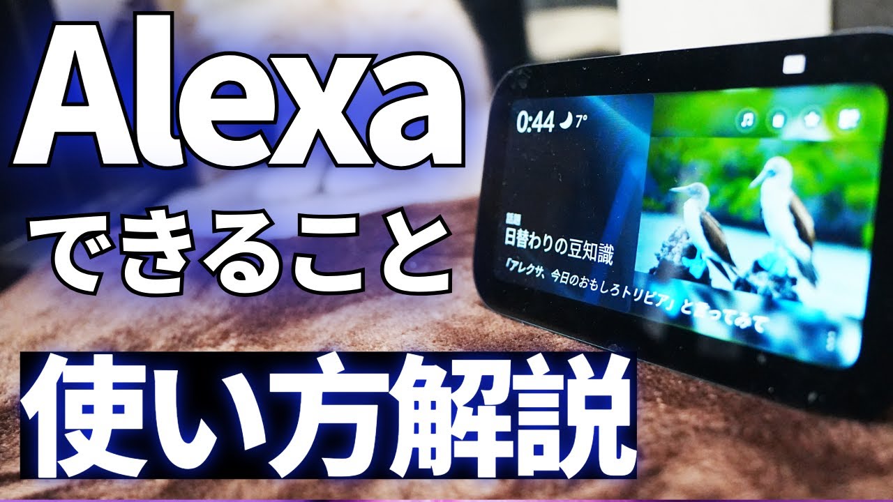 アレクサでできることと便利な使い方 ~アレクサ対応おすすめ家電紹介~