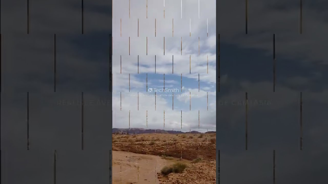 يوم في البرية    واد موغل