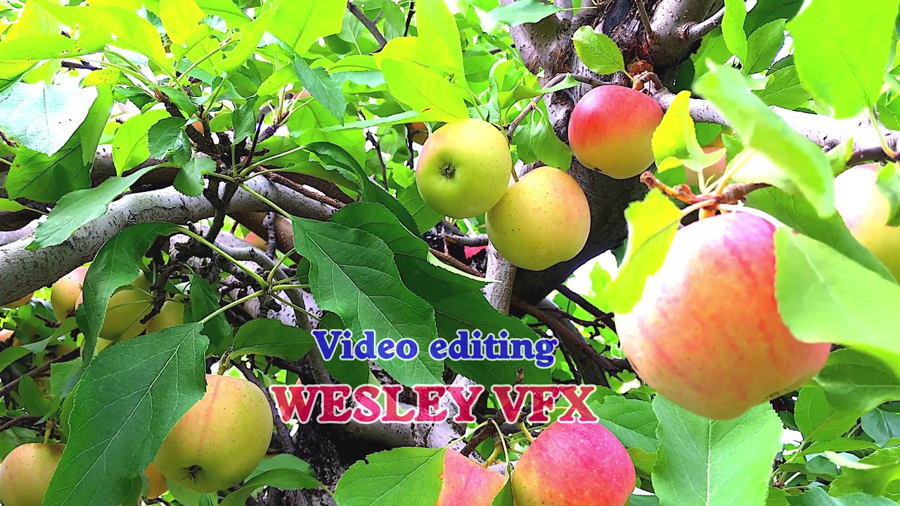 యేసు ప్రభువా నీవే మహిమా| Yesu Prabhuva Neeve mahimaa | Sis.R.Prasanna Jyothi