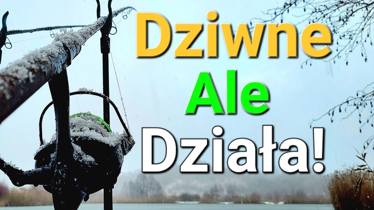 Dziwne Zimowe Łowienie! Prawie Podlodowe! Robaki i Waftersy na Method Feeder! Wędkarstwo Feederowe