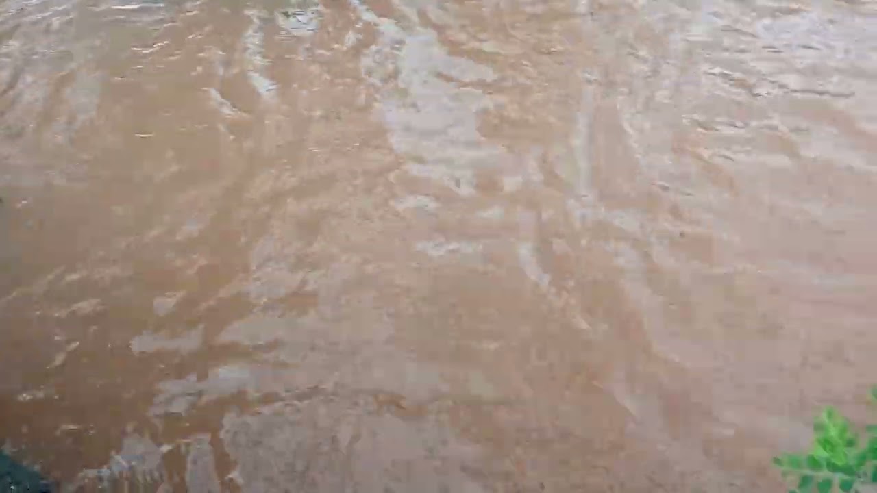 Kale section rain water 🌧️ Kolhapur