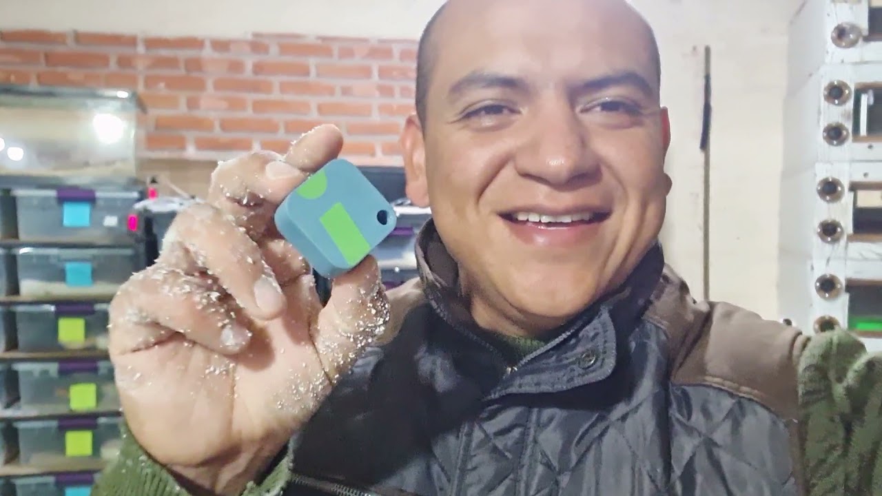 Incubación de huevos de reptiles. (Como preparar el sustrato para unos nacimientos exitosos ).