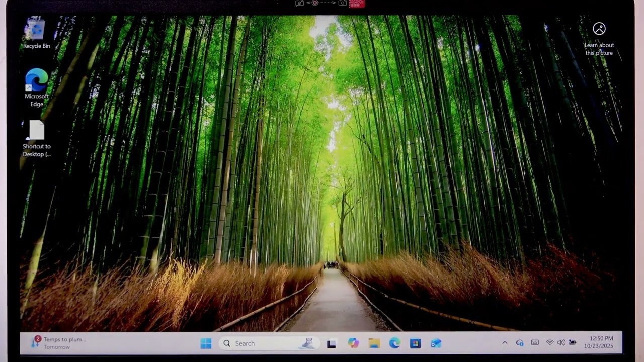 LENOVO V15：画面にカーソルが表示されないときの戻し方