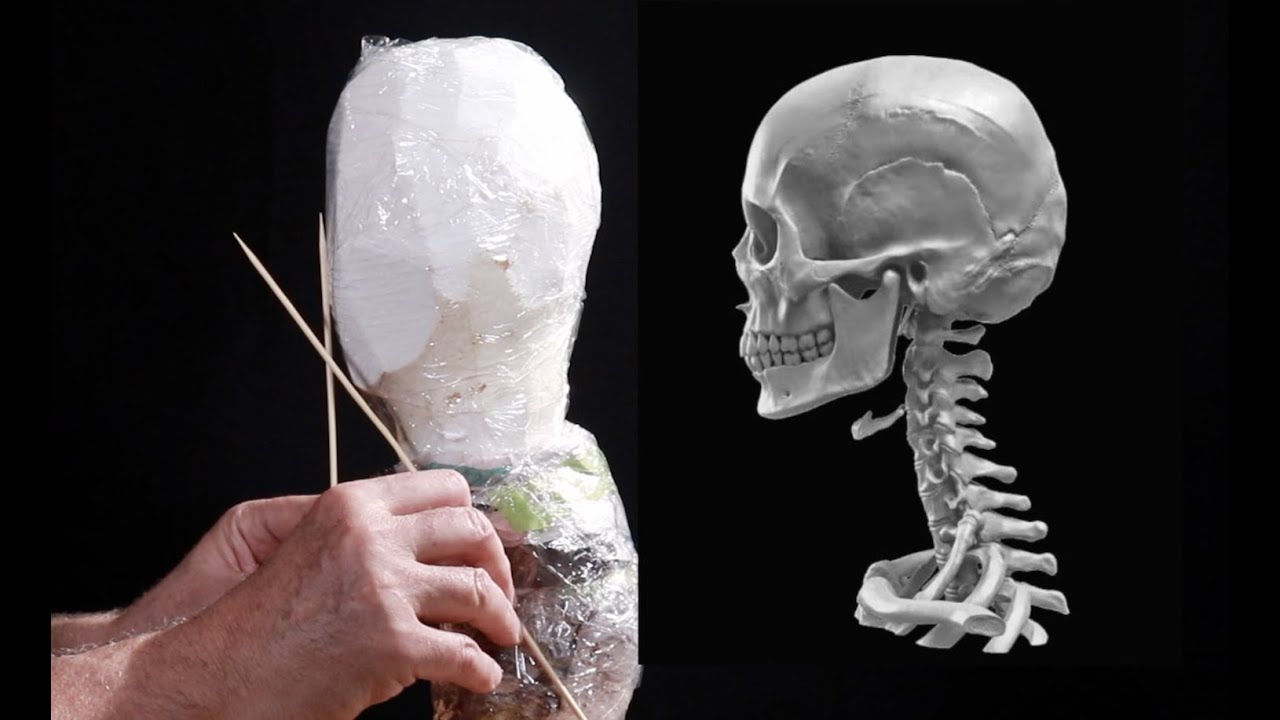 ARMATURE POUR UN MODELAGE D'ARGILE