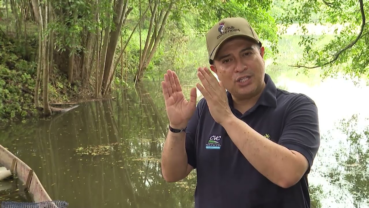 $1.700 millones en humedales de Valle y Cali