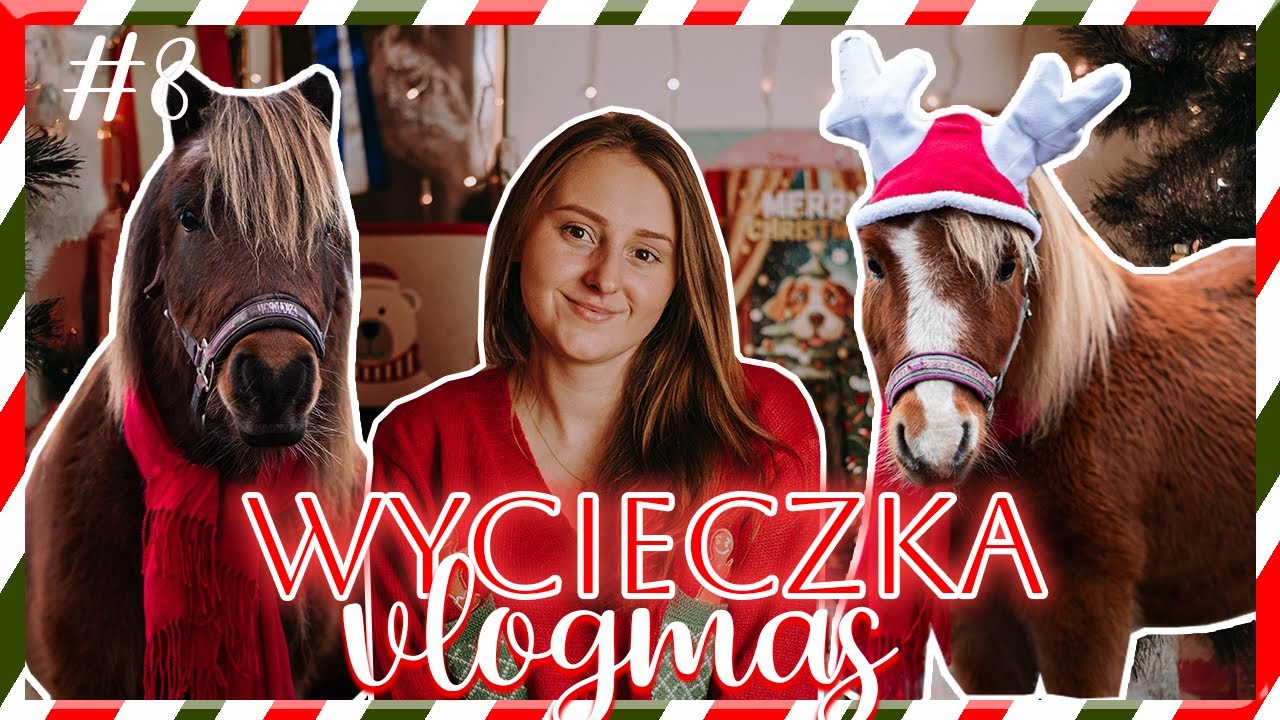 KUCYKI JADĄ NA WYCIECZKĘ 😍 | OGARNIAM DWA KUCE #VLOGMAS 8