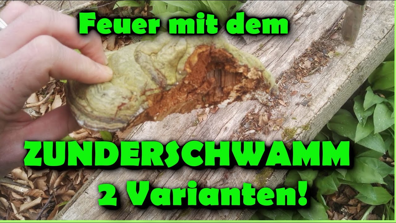 Survivaltipp: Feuer mit dem Zunderschwamm