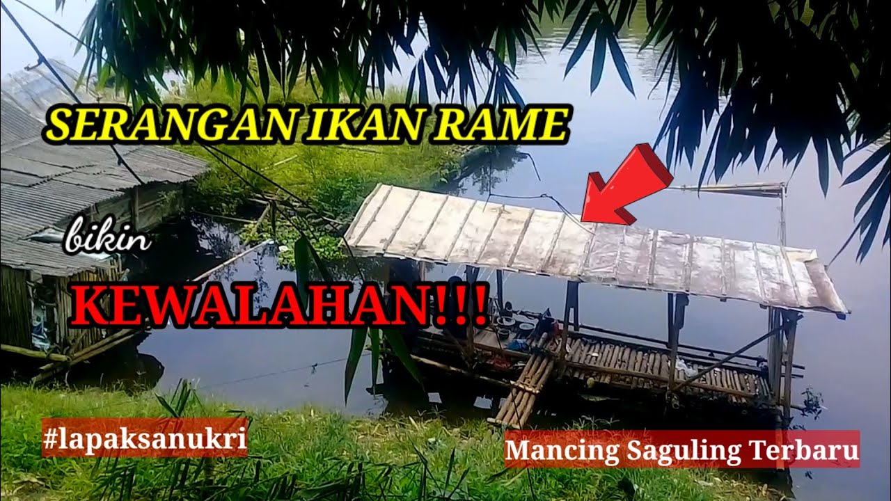 KEWALAHAN!!!DISERANG IKAN RAME//MANCING SAGULING TERBARU//LAPAK SANUKRI