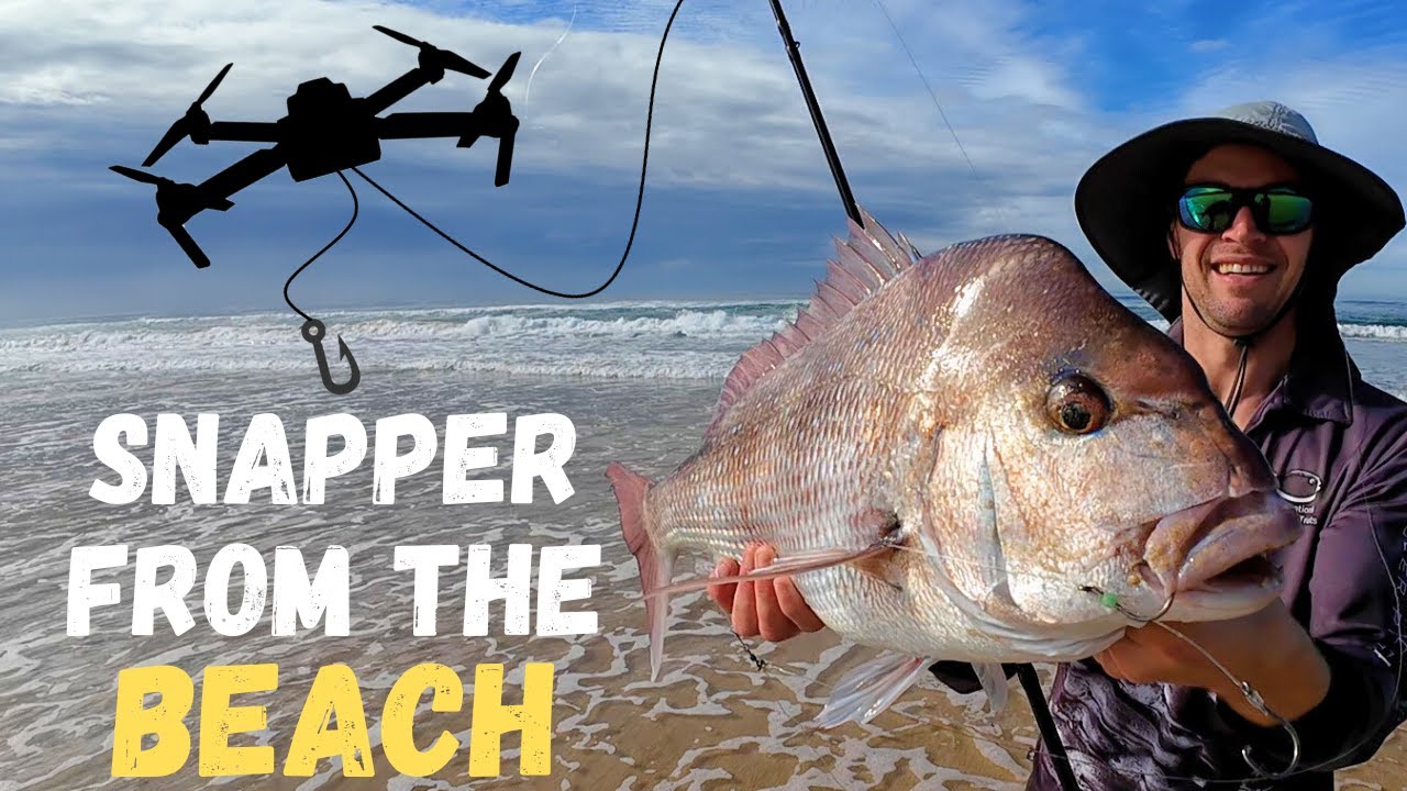Catching Snapper off the Beach | Drone Fishing