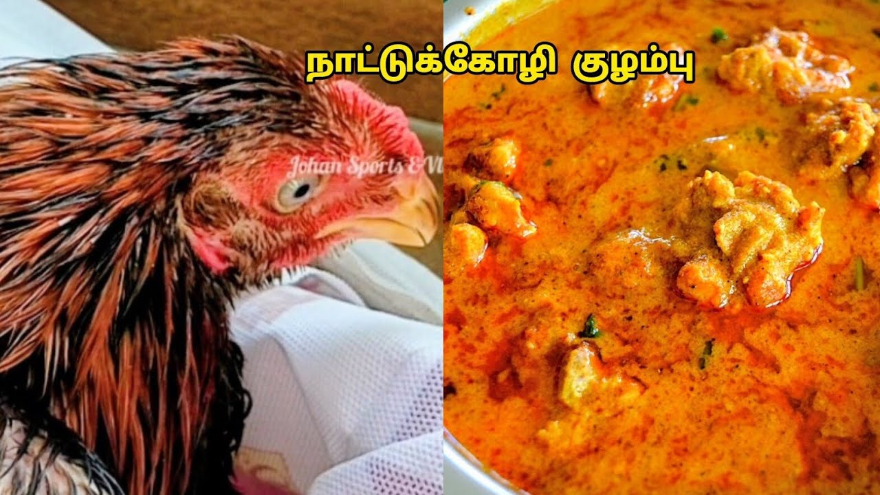 கிராமத்து சுவையில் நாட்டுக்கோழி குழம்பு இப்படி செஞ்சு பாருங்க/Nattu kozhi kulambu/Chicken kulambu